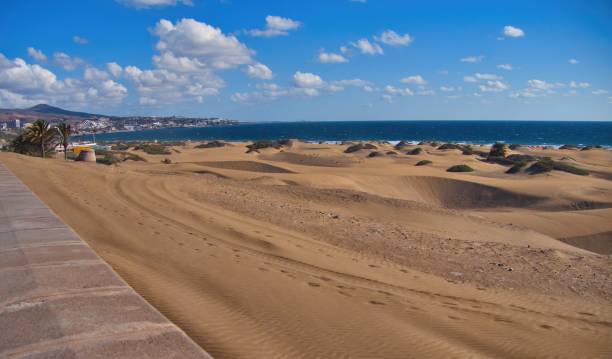 istock Playa del Ingles promenade at lunchtime 1401724625