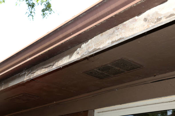 istock Peeling Paint on a facia board on a home 1401727381