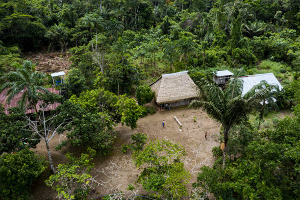 un touriste visite une communauté indigène de la culture siona en amazonie de l’équateur, en amérique du sud - 3445 photos et images de collection