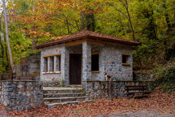 Stone building in the countryside, Greece, Aridea