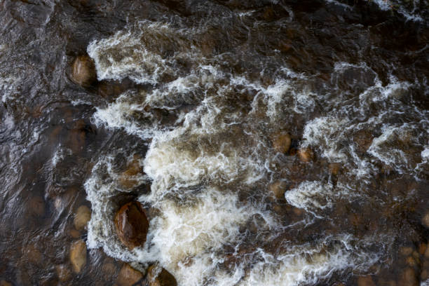 istock Typical tropical stream with rushing water, leaving white foam behind 1401730165
