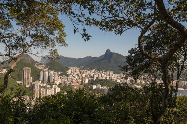 rio de janeiro, brasile. vista aerea incorniciata dalla vegetazione locale. - urca rio de janeiro rainforest brazil foto e immagini stock