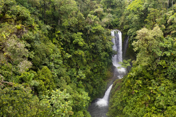 istock Aerial view of a waterfall inside a tropical forest, slowly going backwards from the waterfall: a beautiful nature background 1401730544
