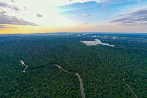 Vista aérea del Amazonas: un fondo natural que muestra un dosel de bosque tropical con un río y algunos lagos visibles en el dosel de los árboles photo