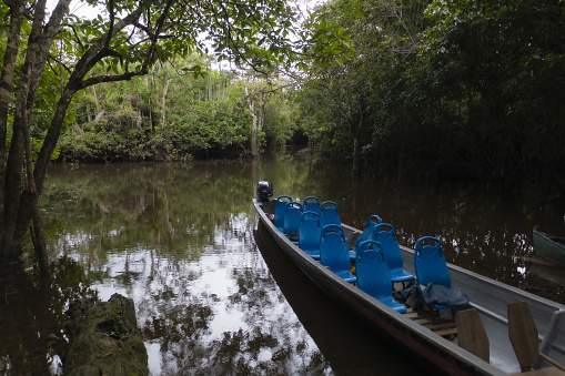 An unused canoe with plastic chairs used for Amazon forest tours