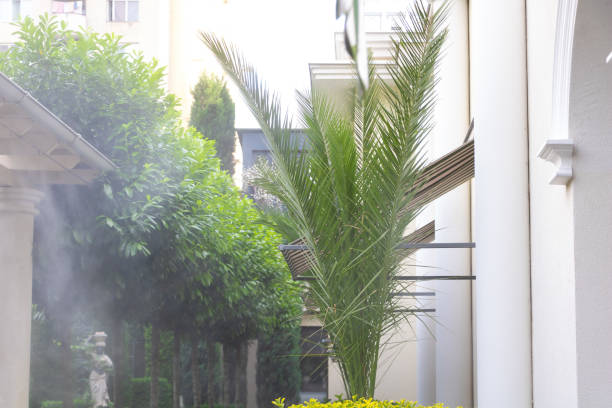 istock A beautiful palm tree grows vigorously in a restaurant place 1401733042