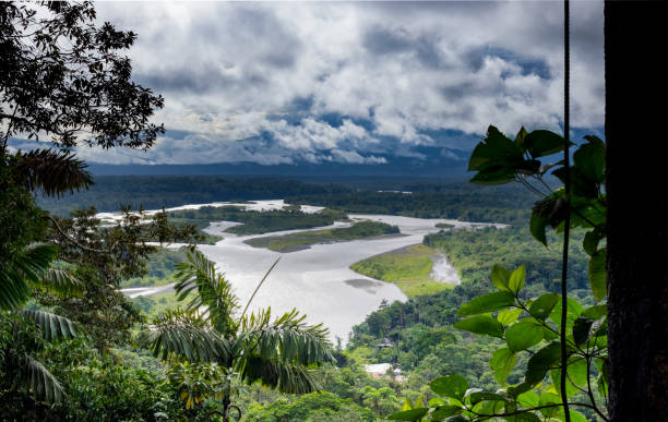 rio pastaza, um grande rio tropical no meio da selva - 3504 - fotografias e filmes do acervo
