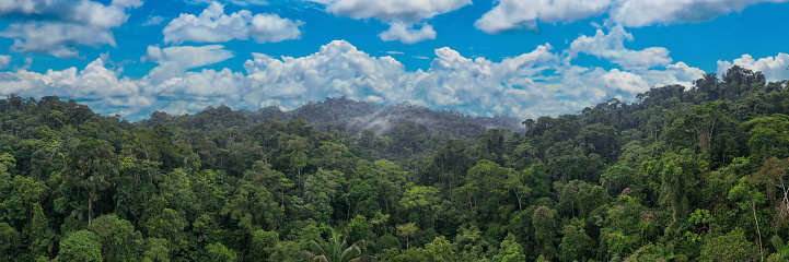 Aerial panorama of tropical forest with a beautiful cloudscape
