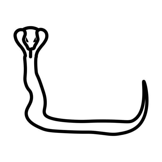 snake icon. Thin linear snake outline icon isolated on white background. Line vector snake sign, symbol for web and mobile. snake icon. Thin linear snake outline icon isolated on white background. Line vector snake sign, symbol for web and mobile cartoon of caduceus medical symbol stock illustrations