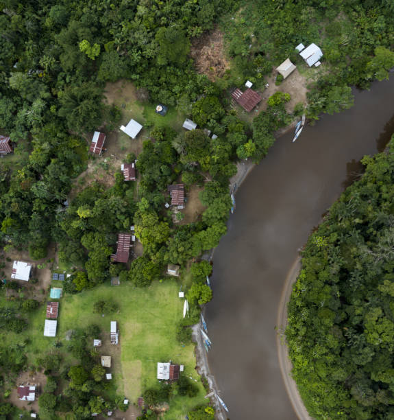 Aerial top view of a small indigenous community in a tropical forest of Cuyabeno: the amazon forest of Ecuador, South America Aerial top view of a small indigenous community in a tropical forest amazon forest stock pictures, royalty-free photos & images