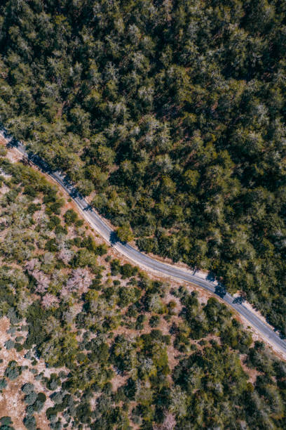 istock Drone View Mountain Village Road 1401739247
