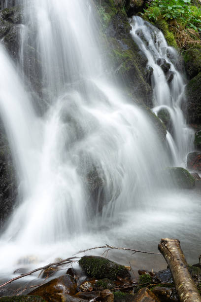 istock Busmayor beech forest and the cascades in spring 1401739951