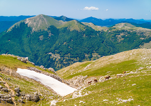 In the Monti Cantari mountain range, the Monte Viglio is one of three hightest peak in Lazio region. Here a view during the spring