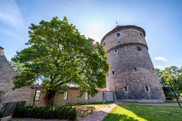 탈린 구시가지, 에스토니아의 키크인 드콕 타워 - military fort 뉴스 사진 이미지
