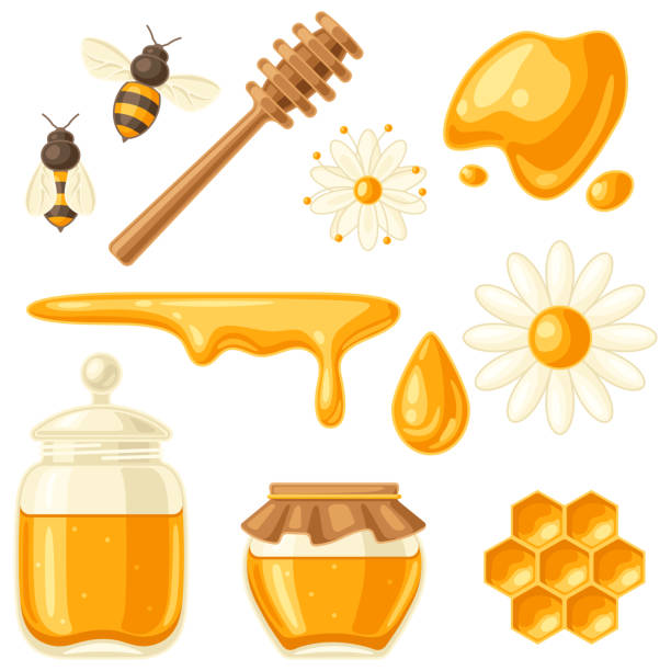 Set of honey items. Image for food and agricultural industry. Set of honey items. Image for business, food and agricultural industry. beehive hairstyle stock illustrations