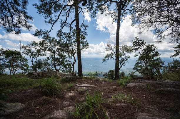 schöne landschaft blick auf deang cliff im phu kradueng mountain national park in loei city thailand. - deang stock-fotos und bilder