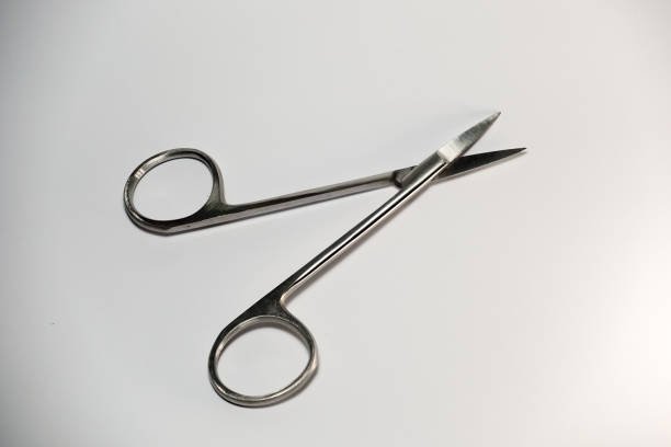 istock isolated white straight surgical scissors 1401750191