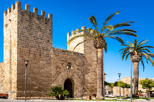 Historic Alcúdia city gate called Porta del Moll also known as Porta de Xara with palm trees in the foreground and the old Alcudia city wall in the background on a sunny springtime day with blue sky.