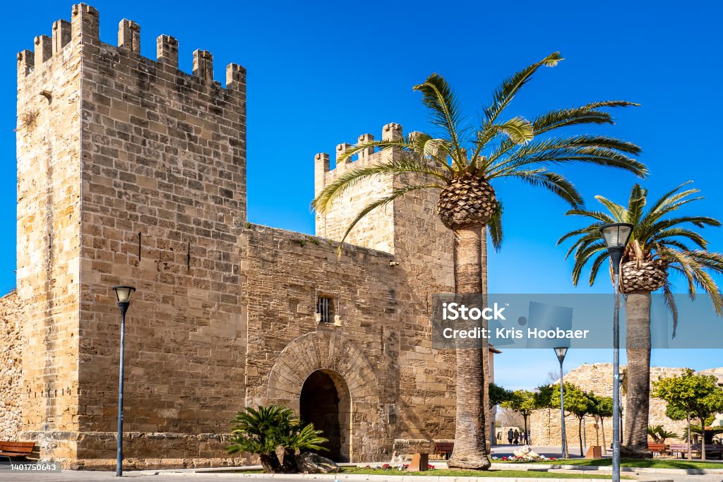 Historic Alcúdia city gate called Porta del Moll also known as Porta de Xara with palm trees in the foreground and the old Alcudia city wall in the background on a sunny springtime day with blue sky. Medieval city gate of Alcúdia with two towers and battlements as a gateway to the fortification of Alcudia old town with palm trees sunlit in springtime, known as Porta de Moll or Porta de Xara. Majorca Stock Photo