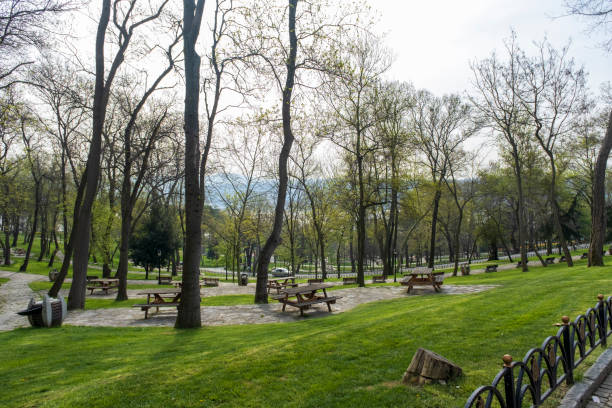 istock trees walking paths, lawns and picnic tables 1401754761