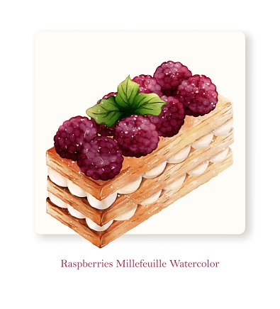 Watercolor of raspberries millefeuille vector design great for cards, banners, headers, party posters or decorate your artwork.