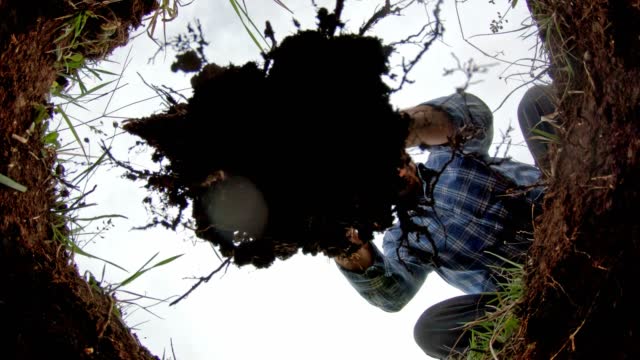 Senior Man Planting A Tree In A Ground Hole