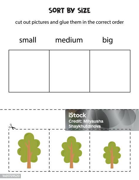 Vetores de Classifique Árvores Por Tamanho Planilha Educacional Para Crianças e mais imagens de De tamanho médio