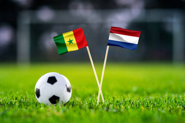 сенегал vs. нидерланды, аль-тумама, обои футбольного матча, национальные флаги ручной работы и футбольный мяч на зеленой траве. футбольный ст - qatar senegal стоковые фото и изображения