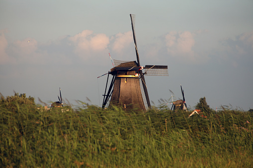 The Windmill Farm