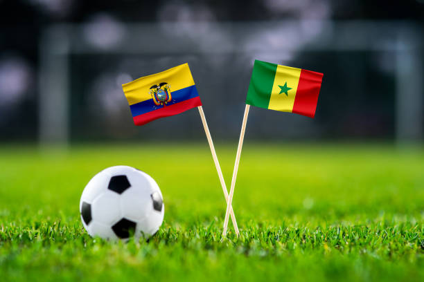эквадор vs. сенегал, стадион халифа, обои футбольных матчей, национальные флаги ручной работы и футбольный мяч на зеленой траве. футбольный с - qatar senegal стоковые фото и изображения
