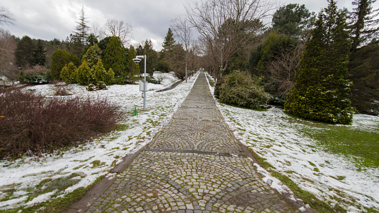 Cobblestone road in Istanbul forest. Snow and dense vegetation on both sides of the road.
