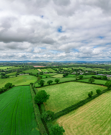 Hedgerows and fields in Devon