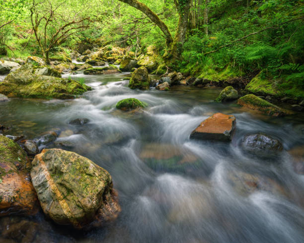 A stream flows between gneiss and granite rocks and oak forests stock photo