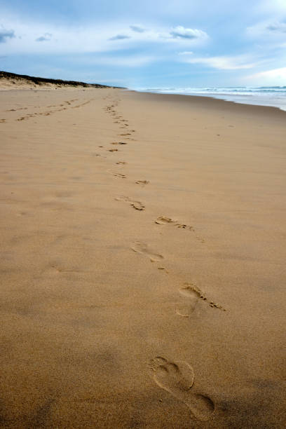 istock Footprints in the sand on a beach. 1401775061