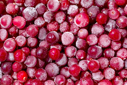 Abstract background of frozen cranberry berries in close-up.