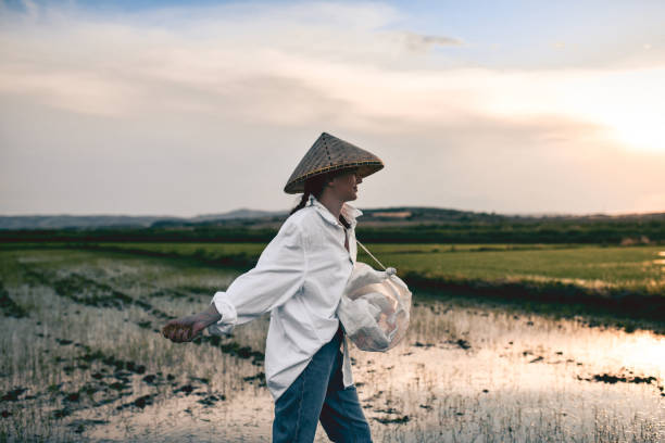 istock Sun Setting While Focused Farm Girl Spreads Rice Seeds On Field 1401777343