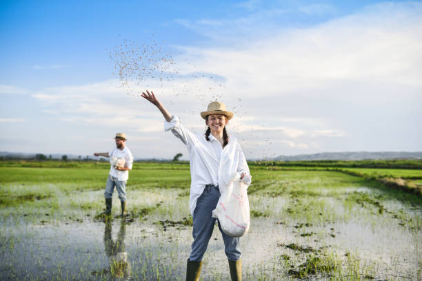istock Happy Farming Female Happy To Work On Sowing Rice Fields With Husband 1401777621