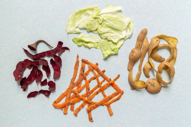 Receitas Antidesperdício: Transforme Cascas e Talos - receita deliciosa profissional - passo 1