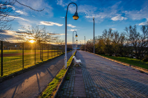 Walking path in the park at sunset stock photo