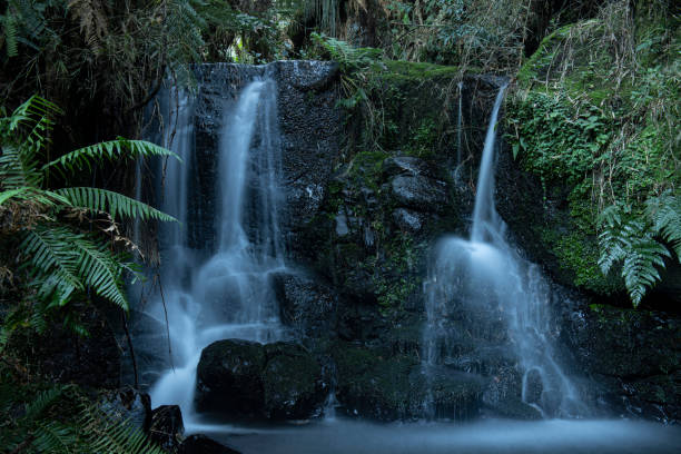 istock The sounds of nature 1401783545