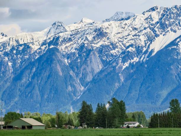 The Farm at the Foot of the Mountains Pemberton, a charming village in British Columbia, Canada. pemberton bc stock pictures, royalty-free photos & images