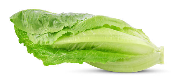 istock Fresh green cos lettuce isolated on white 1401785325