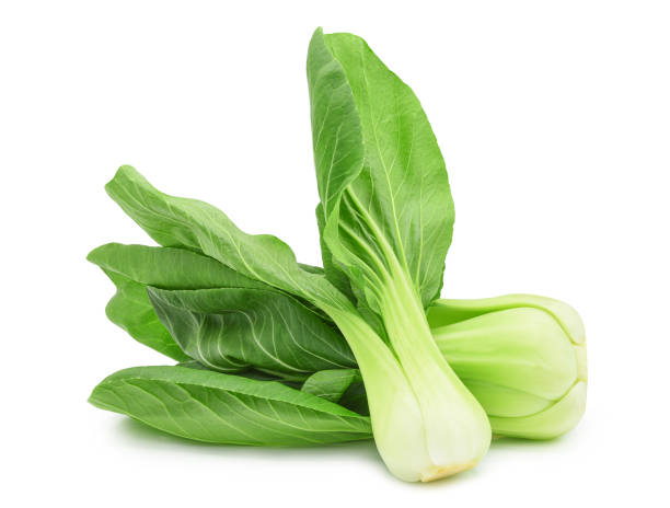 白梗菜（白菜)白で分離 - kale chard vegetable cabbage ストックフォトと画像