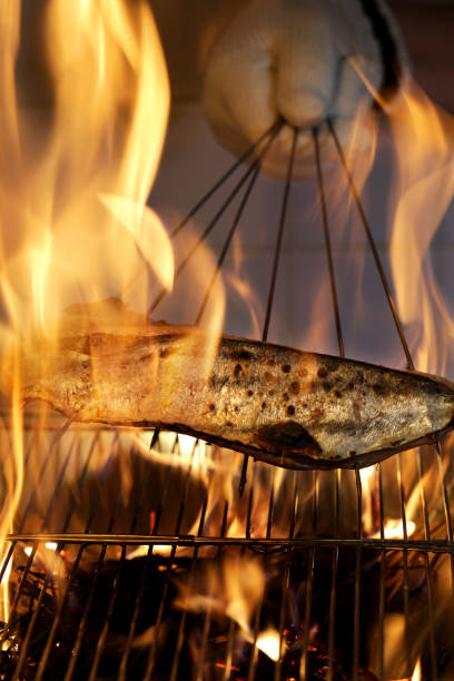 bonito grilling by straw fire (Katsuo no Tataki cooking process ) , Japanese cuisine