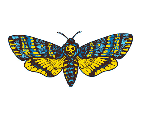 Death's head hawk moth hand drawn vector illustration. Acherontia atropos butterfly.