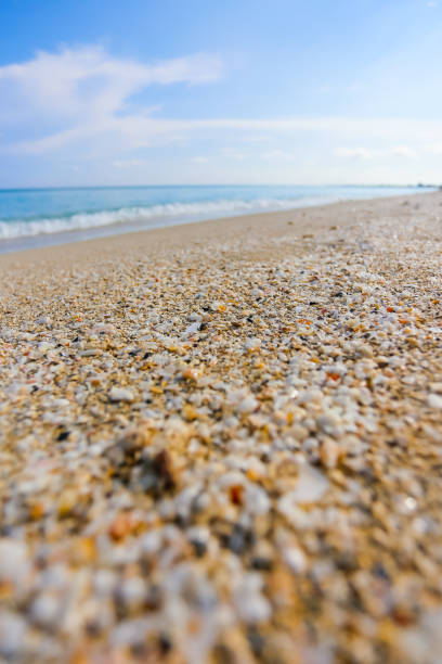 istock Clean blue beach in Varadero in Cuba. 1401791068