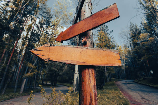istock Blank wooden directional signs 1401795746