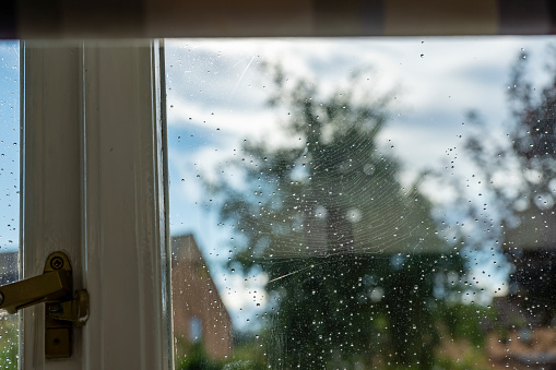 Rain on a window in a domestic English kitchen with rain falling on the window to the garden and a spider's web in the background.