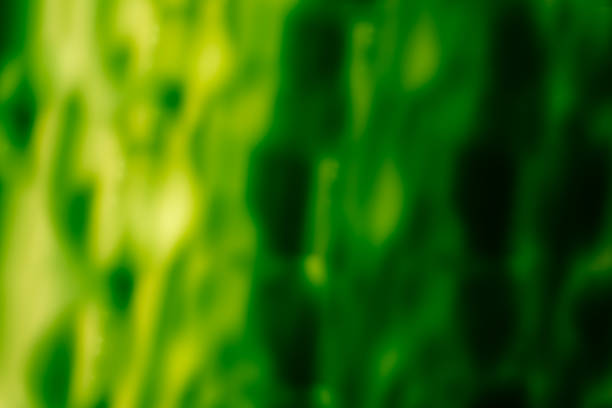 istock Acid abstract background in green tones. 1401796348