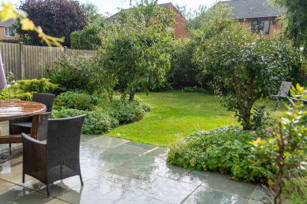 jardin anglais domestique dans une douche de pluie printanière - garden patio photos et images de collection